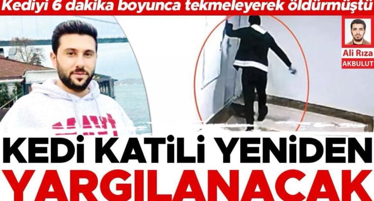 Убийцу котика в округе Башакшехир в Стамбуле снова будут судить