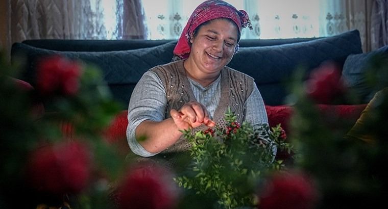«Удачный цветок» нового года: непростой путь кокины
