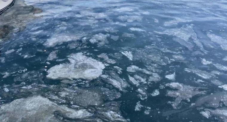 Морская слизь снова угрожает Мраморному морю: рыбаки обеспокоены