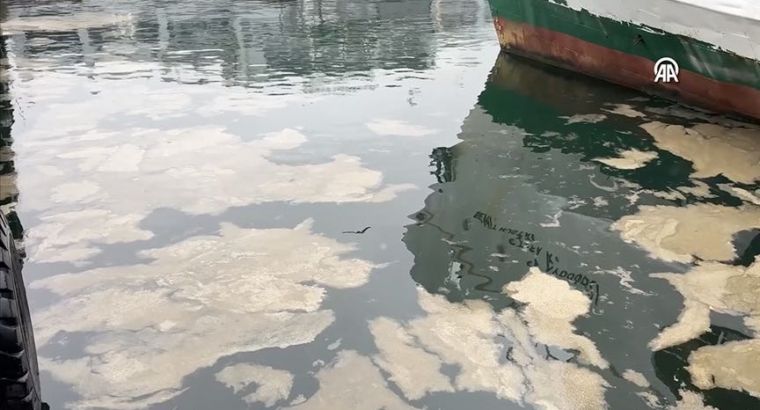 На побережье Кадыкёя вновь замечено загрязнение, похожее на морскую слизь