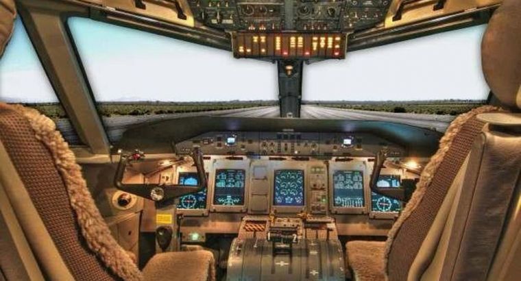 Ранние роды на борту самолета Pegasus Airlines