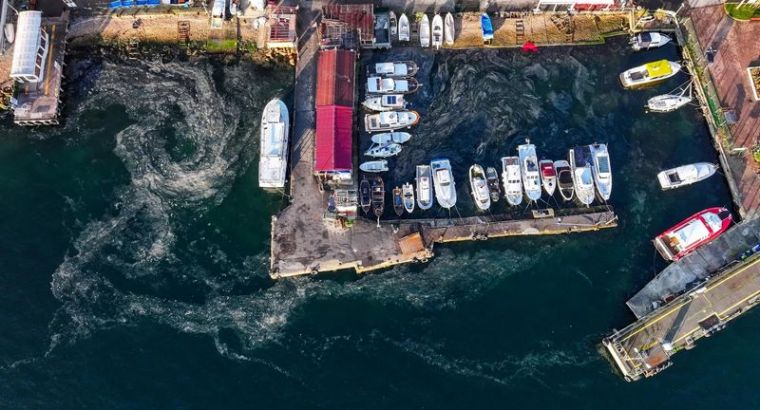 В Мраморном море вновь обнаружен слизь