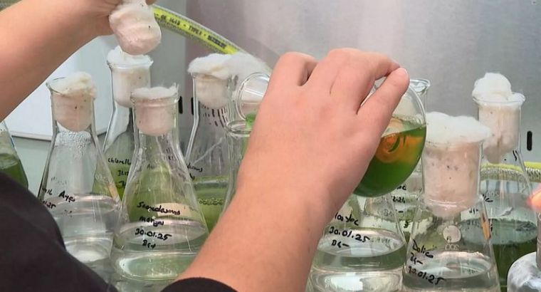 Очистители воды оказались опасны: потеря минералов и риск заражения бактериями