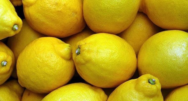 Очередная проверка на пестициды: из Дубая вернули тонны лимонов из Турции
