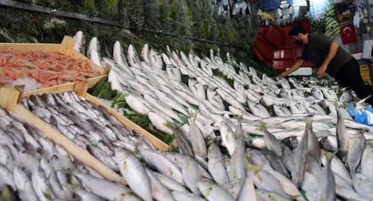 В марте наступает самое вкусное время: какую рыбу стоит есть?