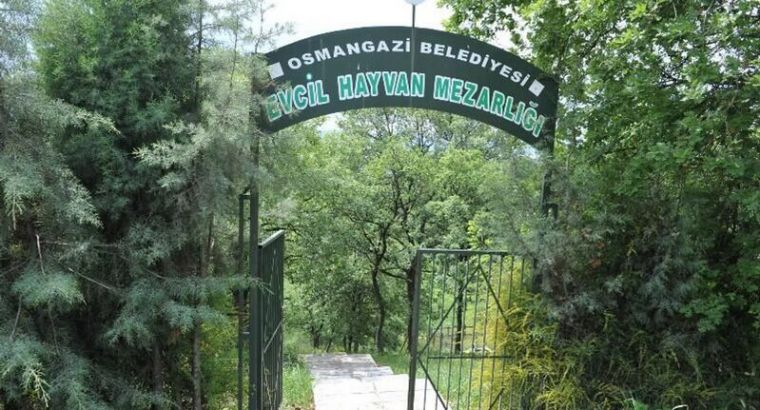 Бурса создала кладбище для домашних животных