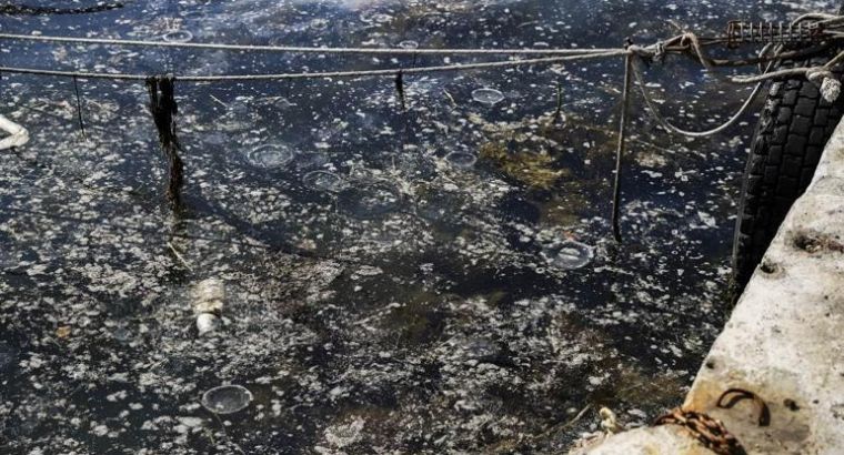Возвращение морской слизи: мусиляж снова в водах Босфора