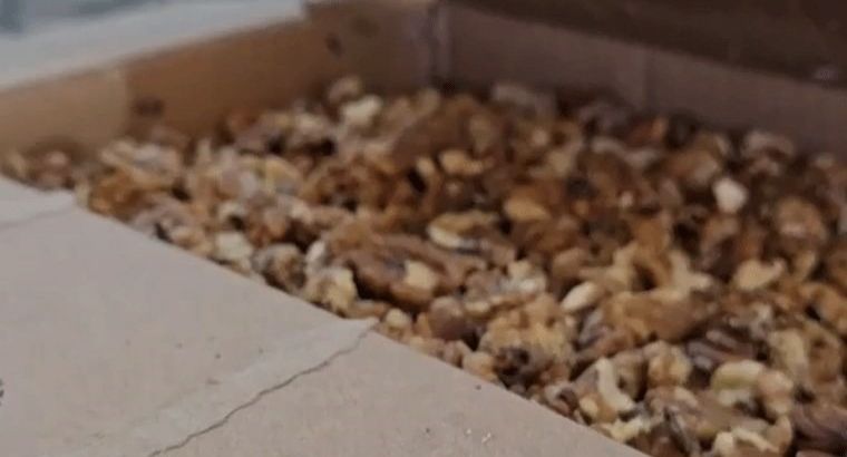 Скандал в Шанлыурфе: на фабрике по производству баклавы обнаружено 11 тонн заплесневелых орехов!