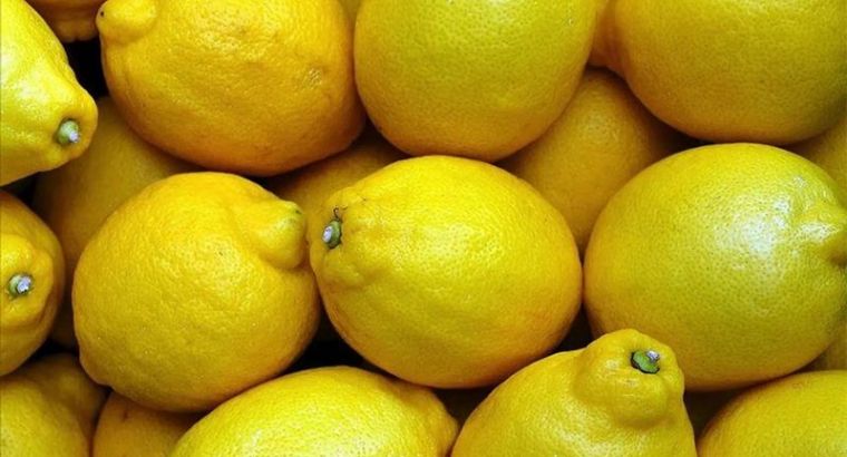 В Турции временно приостановлен экспорт лимонов