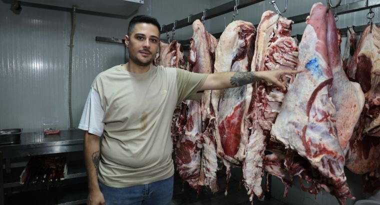 🐴 В Адане снова обнаружили конину и ослиное мясо