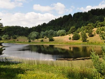 В Анкаре запретили посещать леса до конца сентября