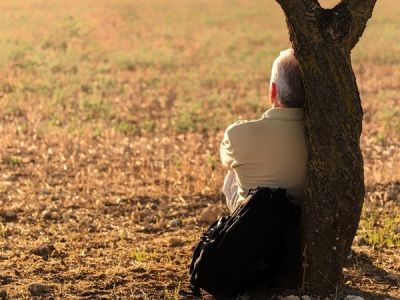 В Турции растёт число одиноких людей