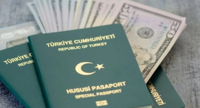 В Турции бухгалтерам и аудиторам могут разрешить оформлять зелёный паспорт