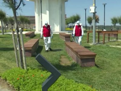 В Стамбуле участились случаи укусов клещей: началась обработка общественных пространств