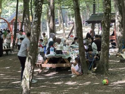 В Стамбуле запретили вход в леса до 15 октября