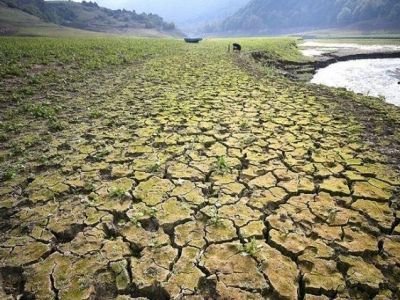К 2050 году Турцию ждёт засуха, дефицит еды и воды