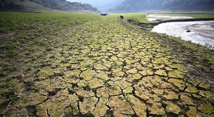 К 2050 году Турцию ждёт засуха, дефицит еды и воды