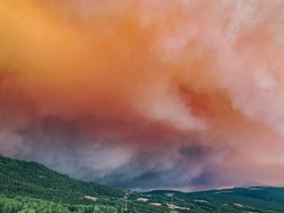 В Сакарье и Биледжике продолжается крупный лесной пожар: эвакуированы деревни