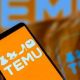 TЕMU ОФИЦИАЛЬНО В ТУРЦИИ
