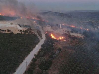 В Чешме продолжается крупный лесной пожар: эвакуация, перекрытые дороги, сгоревшие дома