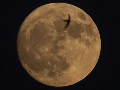 Сегодня ночью — редкое явление: «Лунная иллюзия» вернётся через 9 лет