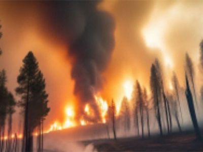 При тушении лесных пожаров в Турции погибли 10 человек