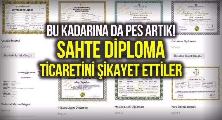 Диплом за деньги: в Турции раскрыта сеть торговли поддельными документами