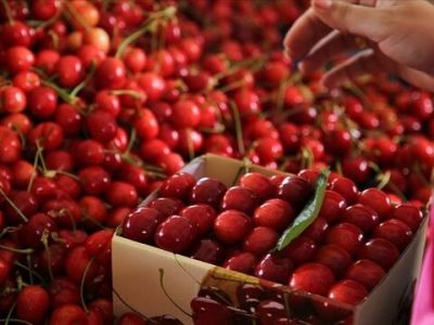 В Стамбуле назван продукт с самым высоким ростом цен
