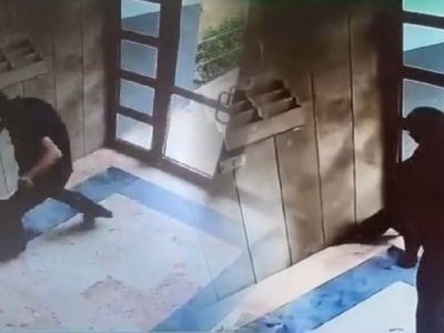 В Стамбуле мужчина зверски убил кота — его задержали