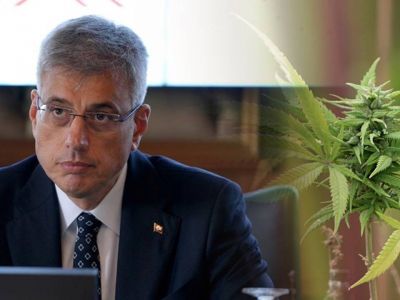 Турция одобрила медицинскую коноплю: кому будут её назначать?