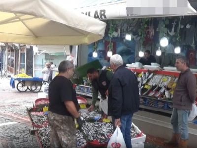 Цена на хамсу упала, люди радуются!