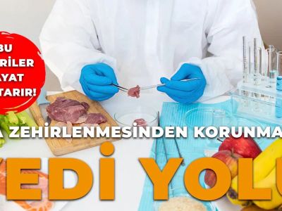 🛡️ Как защититься от пищевого отравления: 7 правил безопасного питания вне дома