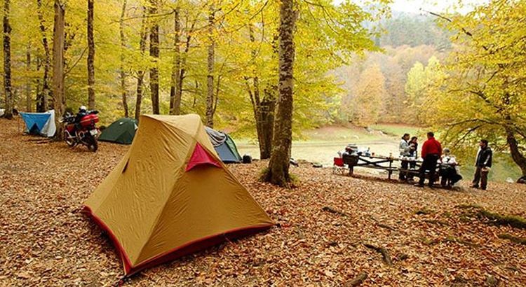 Какие страны чувствуют себя ближе всего к природе? 🌿 Турция — в середине списка