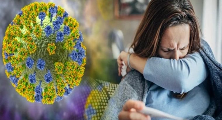 Опасения подтвердились: вирус H3N2 впервые выявлен в Турции