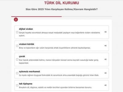 Словом 2025 года стало «цифровая совесть»