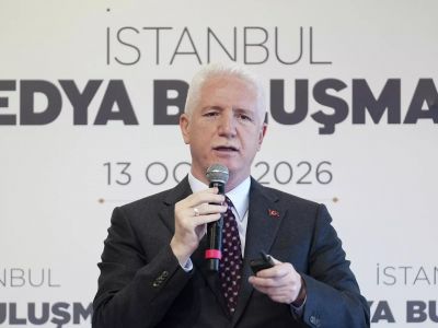 Губернатор Стамбула Давут Гюль: не все муниципалитеты активно включились в работу по бездомным животным