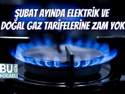 В феврале в Турции не будет повышения тарифов на электроэнергию и природный газ