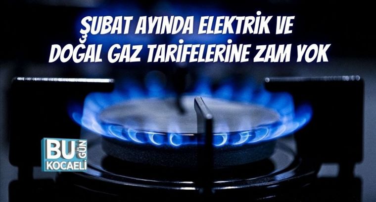 В феврале в Турции не будет повышения тарифов на электроэнергию и природный газ