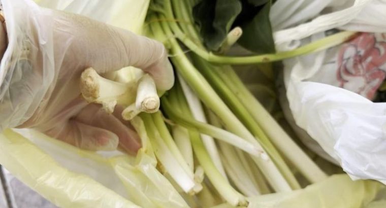 Купленный на рынке «шпинат» оказался ядовитым: мужчина почувствовал себя так, будто выпил отбеливатель