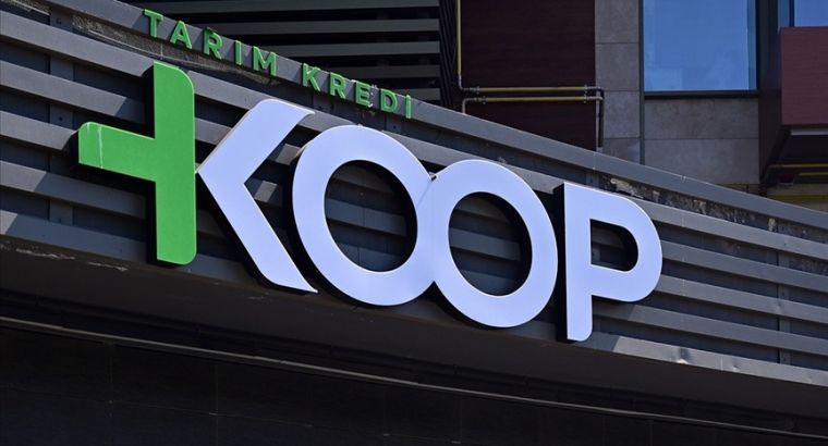 В Турции установили фиксированные цены на фарш к Рамазану