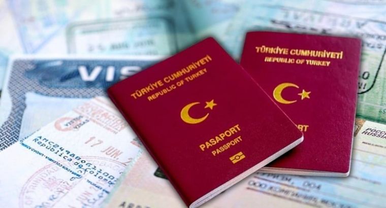 Визовое ограничение для этих профессий может уйти в прошлое