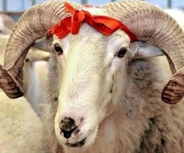 В Турции рассказали, как продлить майские праздники до 16 дней отдыха