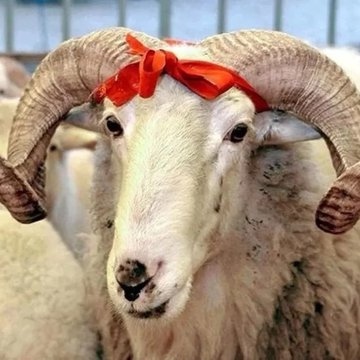 В Турции рассказали, как продлить майские праздники до 16 дней отдыха