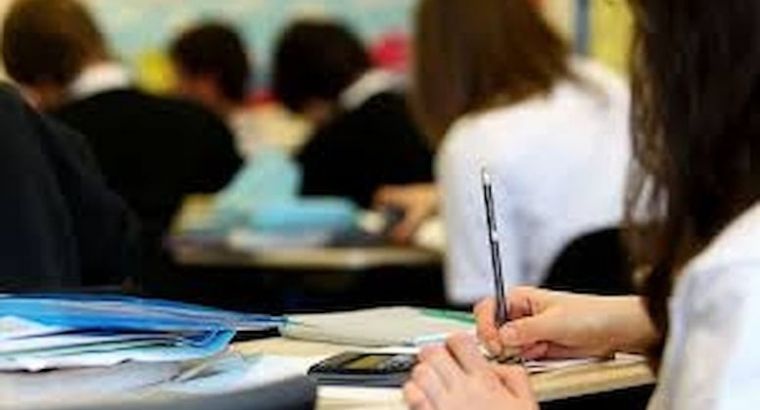 Турецкий антимонопольный орган взялся за частные школы