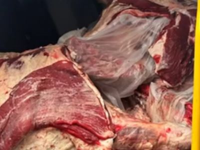 В Анкаре изъяли 40 тонн опасного мяса и нелегальное оливковое масло