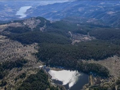 В Анкаре запретили посещение лесов из-за риска пожаров