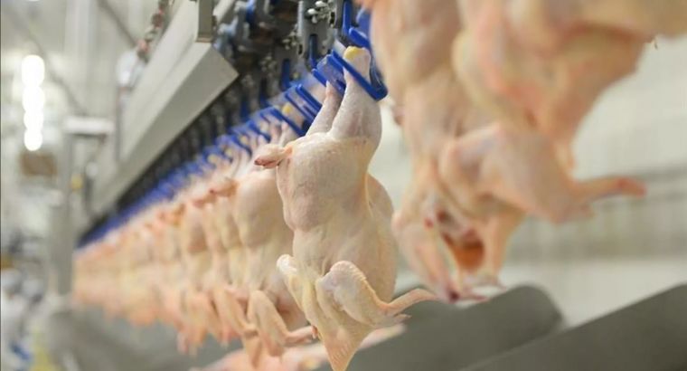 🐔 Штрафы за ценовой сговор на птицу