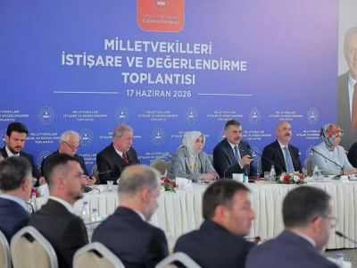 В Турции с улиц уже убрали 83% бездомных животных