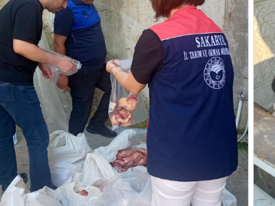 В Турции уничтожили 5,5 тонны мяса и мясной продукции без маркировки