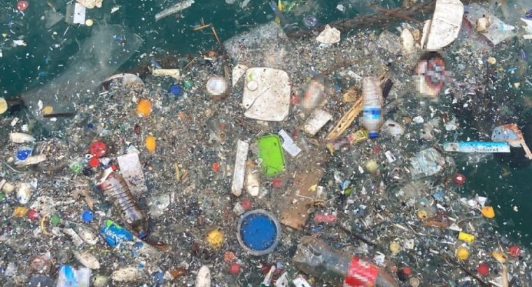 В Средиземном море растёт загрязнение пластиком